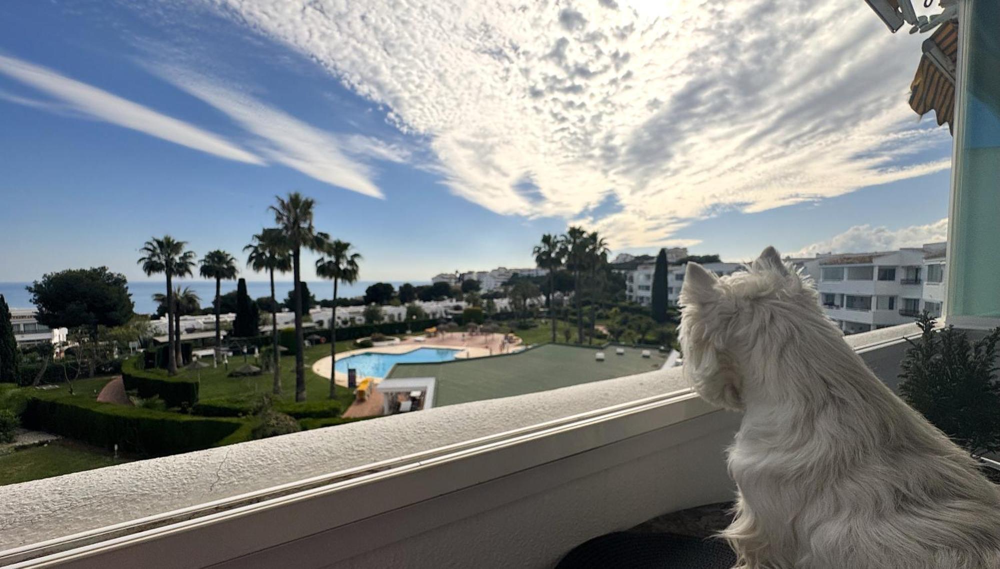 Amazing Sea View Apartment In Miraflores La Cala De Mijas Exterior photo